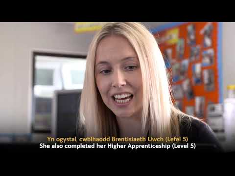 Asesydd a Thiwtor y Flwyddyn Dysgu Seiliedig ar Waith / Work Based Learning Assessor and Tutor