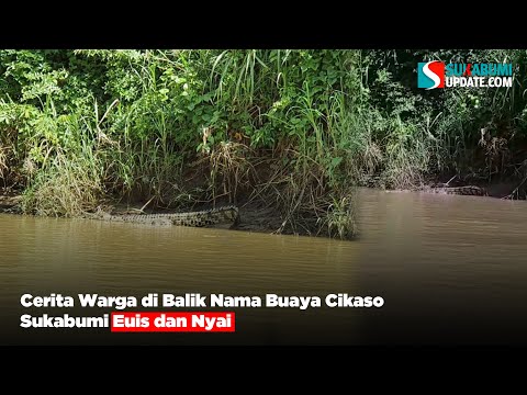 Cerita Warga di Balik Nama Buaya Cikaso Sukabumi Euis dan Nyai