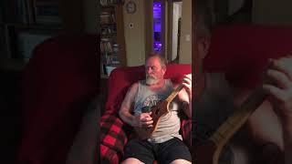 Something So Feminine About A Mandolin Merlin Dulcimer Cover