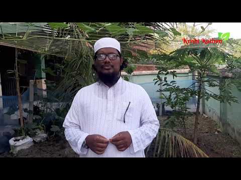 লাউয়ের স্ত্রীফুল বাড়িয়ে ফলন কিভাবে বাড়ানো যায়