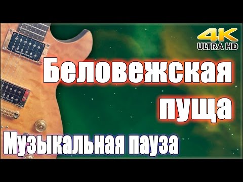 2015-11-22 Музыкальная пауза. «Беловежская пуща» (4K)