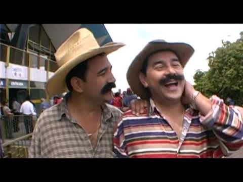 Detectives por Error