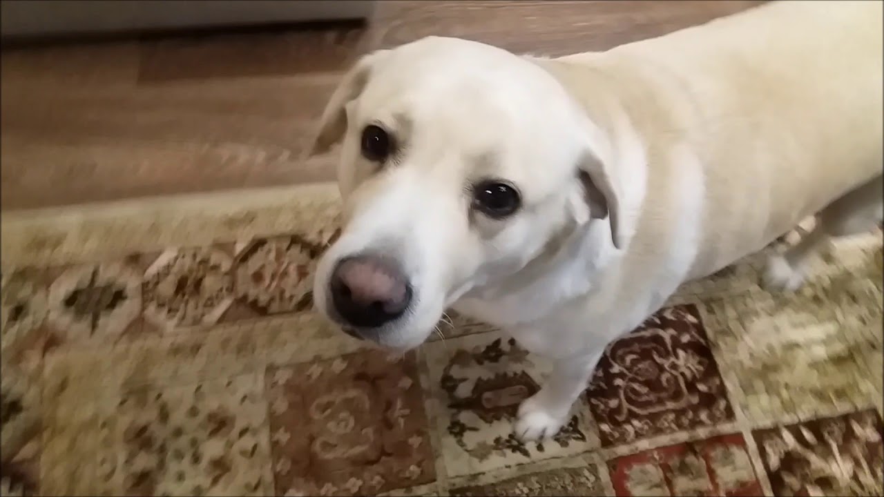 Мисси уезжает