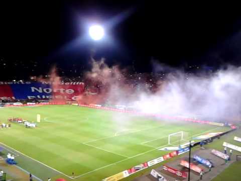 "La Hinchada Mas Linda Del Mundo(1)" Barra: Rexixtenxia Norte • Club: Independiente Medellín