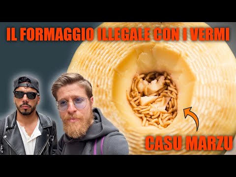 WE EAT ILLEGAL CHEESE WITH MAGGROWS – THE MOST DANGEROUS CHEESE IN THE WORLD!