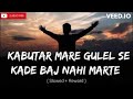 Kabutar Mare Gulel Se Kade Baj Nahi Marte Song Slowed Reverb Lofi
