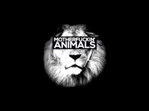 Martin Garrix - Animals - DJ Anticlimax remix