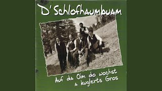 Am Sonntag is Kirchtag