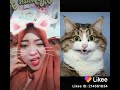 Sok Imut