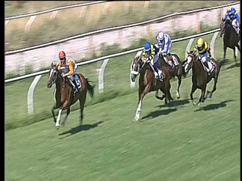 Galoppo 14/06/2017 - 1ª corsa