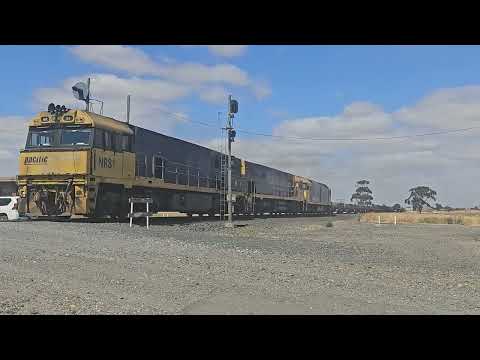 7XM4 PN up Steelie (NR81, NR85, G530, 36W), Spencer Jnc to Melbourne, 1120, 1/2/26, Dooen VIC 
