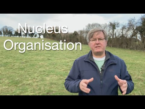 Exploring Nuclear Organisation: Chromatin, Chromosomes, and the Nucleolus