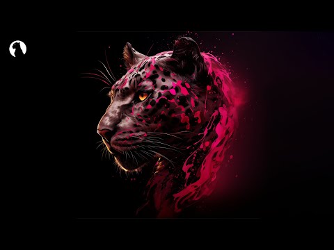 Pandapush - Break My Heart