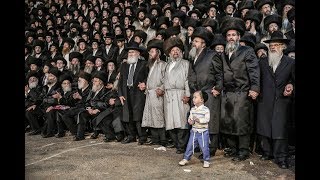 שבת התאחדות של חסידי לעלוב במירון