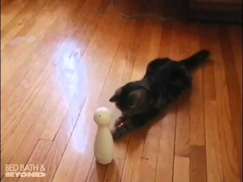 FroliCat BOLT Laser Cat Toy at Bed Bath & Beyond
