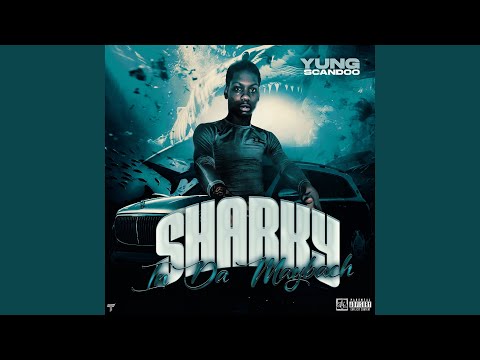 Sharky in da Maybach