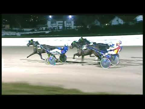 Trotto 24/01/2020 - 8ª corsa - TRIS