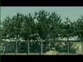 Wheesung - Ahn Dwe Na Yo