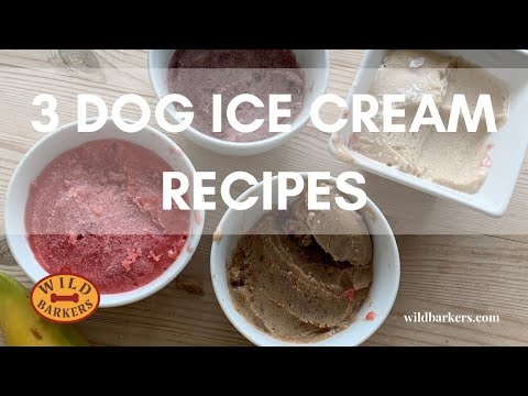 3 DIY DOG ICE CREAM RECIPES: EASY, HEALTHY, VEGAN, DAIRY-FREE, AND GLUTEN-FREE TREATS | Wild Barkers
