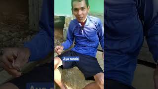 Download lagu ordered to follow #comedysunday mp3 Download lagu ordered to follow #comedysunday mp3