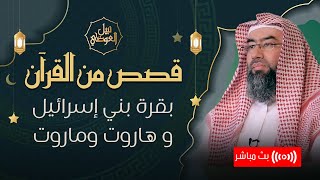 صورة بث مباشر | قصص من القران قصة بقرة بني إسرائيل ومن هم هاروت و ماروت | نبيل العوضي
