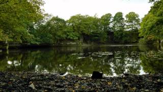 Delph Lane , Charnock Richard