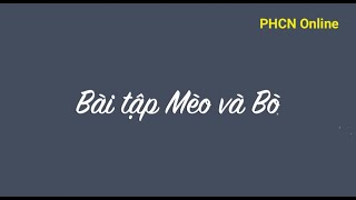 L31. Bài tập Mèo và Bò