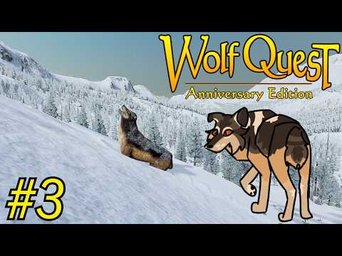 My Wolfware