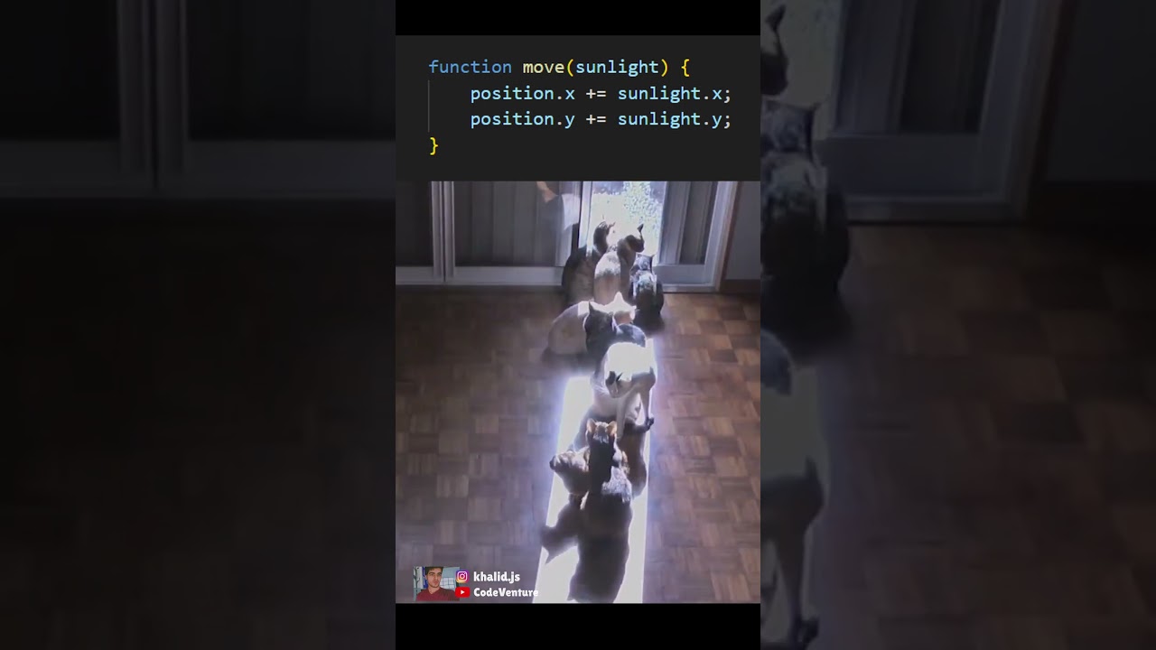 cat photosynthesis function #coding #programming #javascript #python