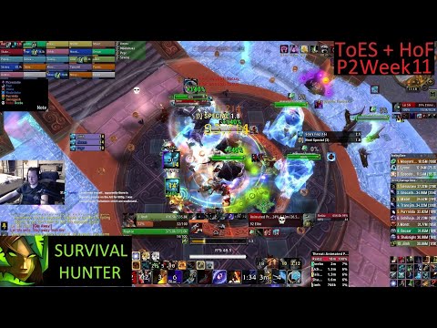 H ToES + HoF + MSV 25 man - Survival Hunter PoV - Week 11 MoP Phase 2 - 12-8-25