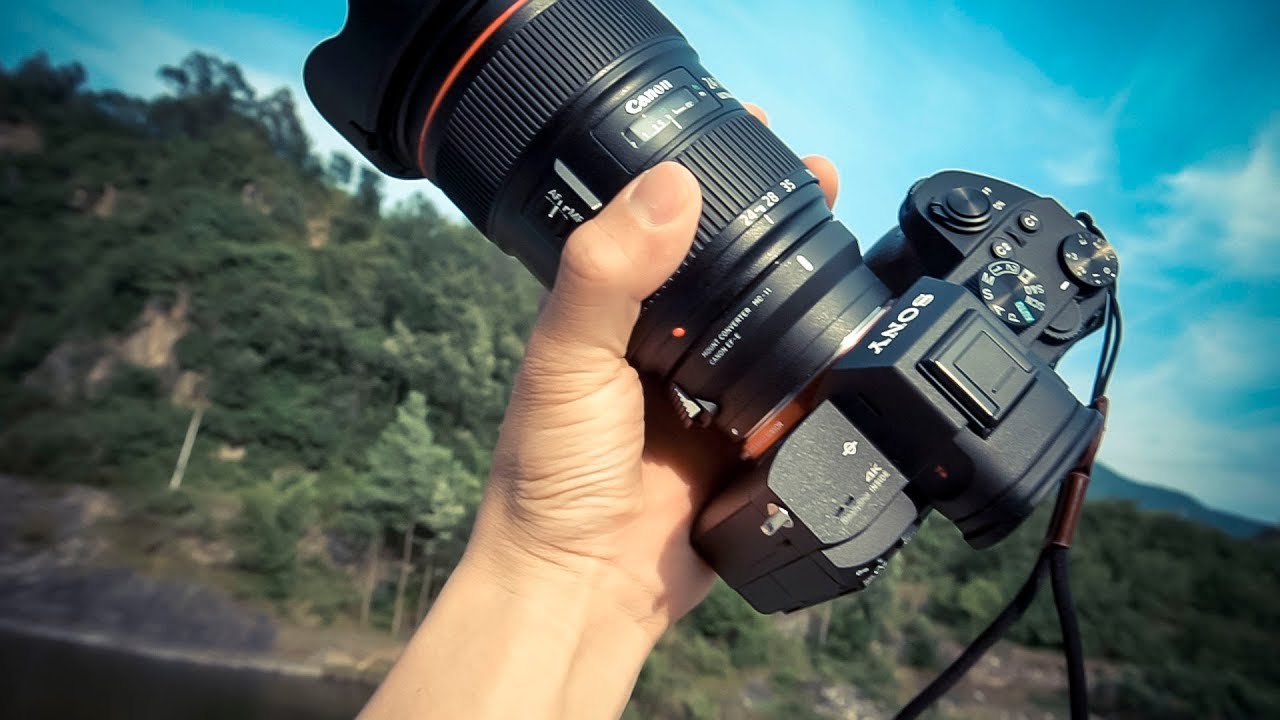 索尼A7M3通过适马mc-11转接佳能EF 24-70mm f/2.8L USM实拍体验