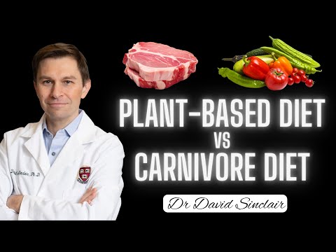 🥬Plant-Based vs Meat: Dr David Sinclair on Diet and Longevity #davidsinclair #vegan #carnivorediet