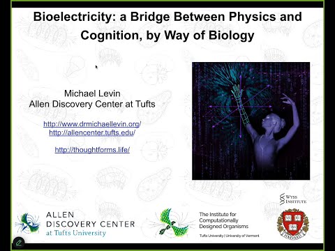 "Bioelectricity: a bridge between physics and cognition, by way of biology" by Michael Levin