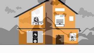 Belkin Belkin Wemo Insight (photo supp. n°3)