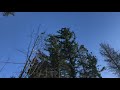 Trees Falling Down At UBC During The 45 Kts Wind Storm Of December 20 2018