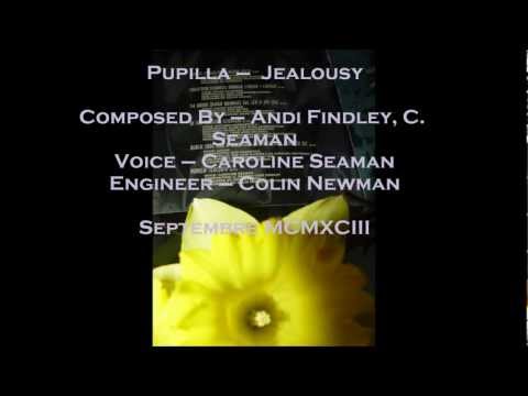 Pupilla ( Andi Findley, Caroline Seaman of This Mortal Coil, Colin Newman) Jealousy, 1993.mp4