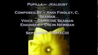 Pupilla ( Andi Findley, Caroline Seaman of This Mortal Coil, Colin Newman) Jealousy, 1993.mp4