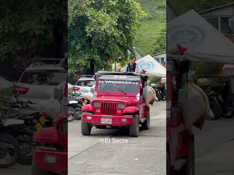 ¿Es un Jeep? 🤔 Míralo bien y cuéntanos desde La Celia, Risaralda 🇨🇴🔥