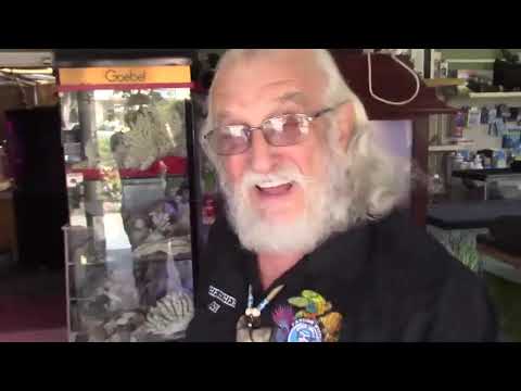 QUICK AND EASY ICK CURE