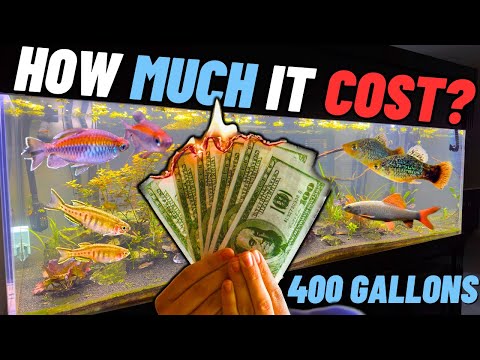 400-Gallon Community Aquarium Setup Cost Breakdown