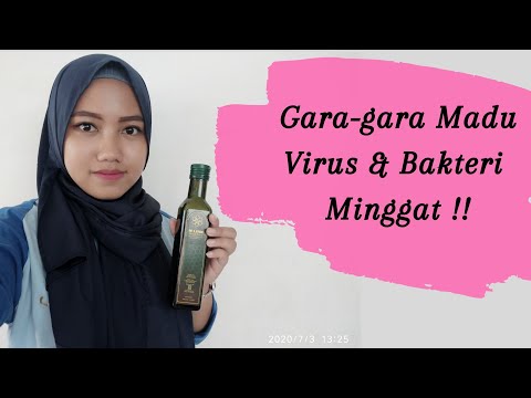 Gara-gara Madu, virus dan bakteri minggat 😱