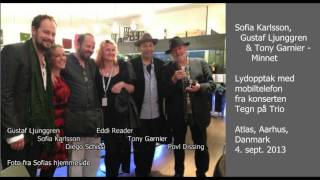 Sofia Karlsson, Gustaf Ljunggren & Tony Garnier - Minnet (Tegn på Trio, 2013)