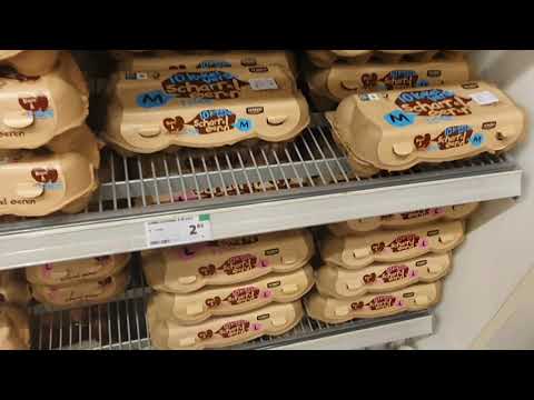 Jumbo Terneuzen Schuttershof