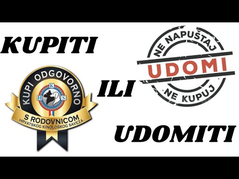 Kupiti ili udomiti psa?
