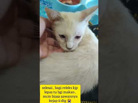 thankyou for  5d4n syg 🥰😺🤍 .