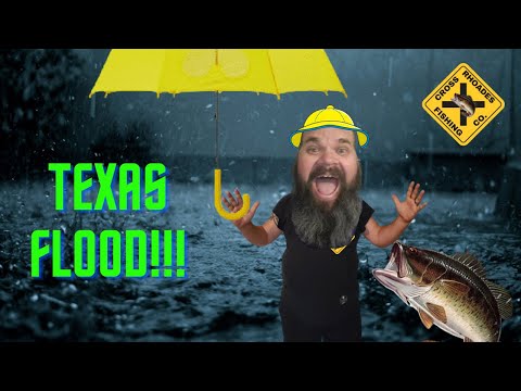 Raining in Texas pt 1