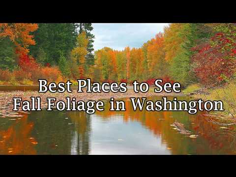 Best Places to See Fall Foliage in Washington State