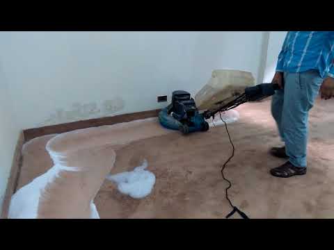 Carpet Shampooer Cleaning