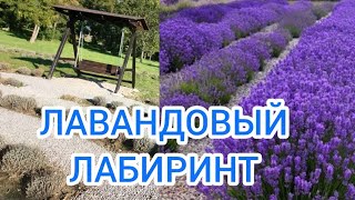 ОБНОВИЛИ ВОЗНЕСЕНОВСКИЙ ПАРК ЗАПОРОЖЬЕ 6.10.26