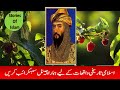 Sultan Salahuddin Ayubi Tiger Of Islam Real Untold Story Of Muslim Tiger
